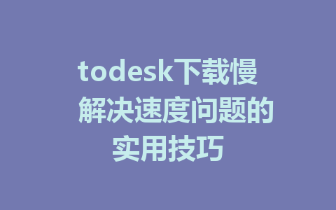 todesk下载慢  解决速度问题的实用技巧