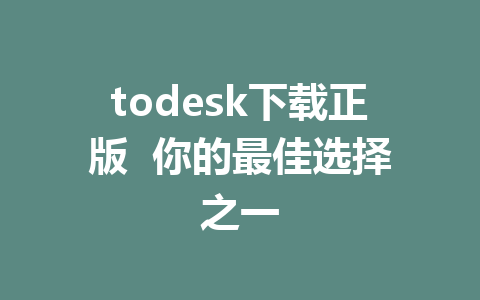 todesk下载正版  你的最佳选择之一