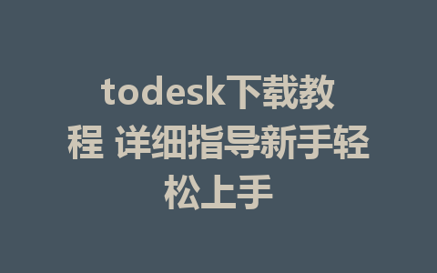 todesk下载教程 详细指导新手轻松上手