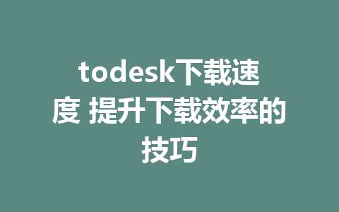 todesk下载速度 提升下载效率的技巧