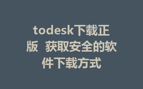 todesk下载正版  获取安全的软件下载方式